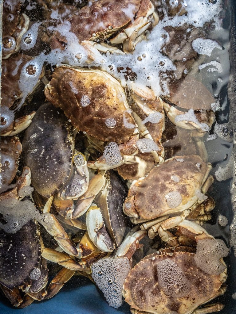 A foodie weekend in Boston
